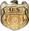 CSS Badge 1
